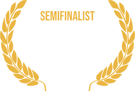 Semifinalist, Stage 32 Diversity Springboard Contest